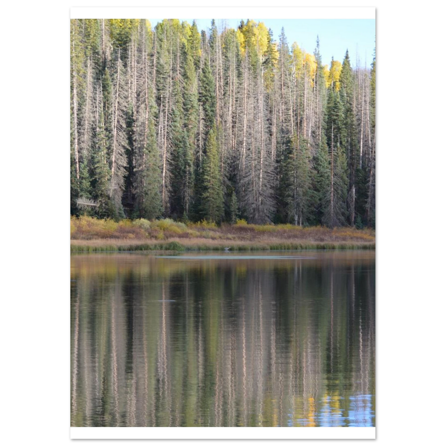 23538dbf-a053-4d70-b4ea-d8442fb2de99