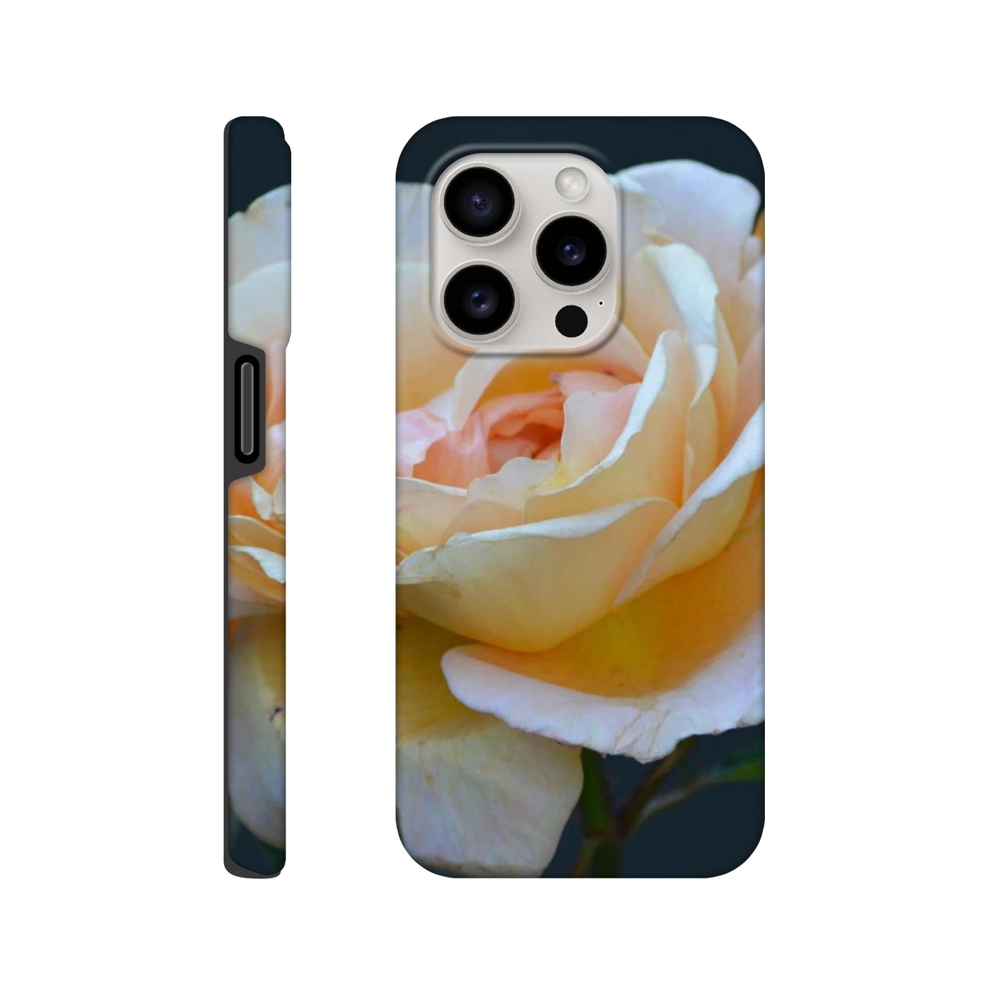3dbd5c0e-0343-4e45-a3c3-b66df274a1ed