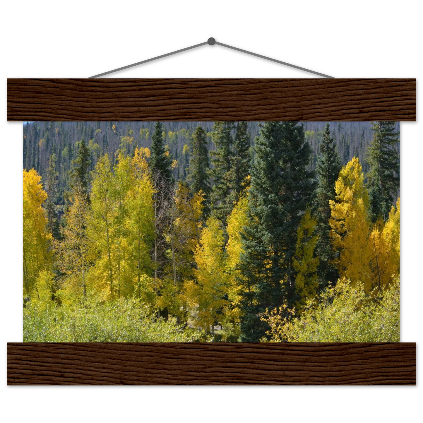 5c9f1a62-aab6-45b7-9b29-ab21cd96c78b