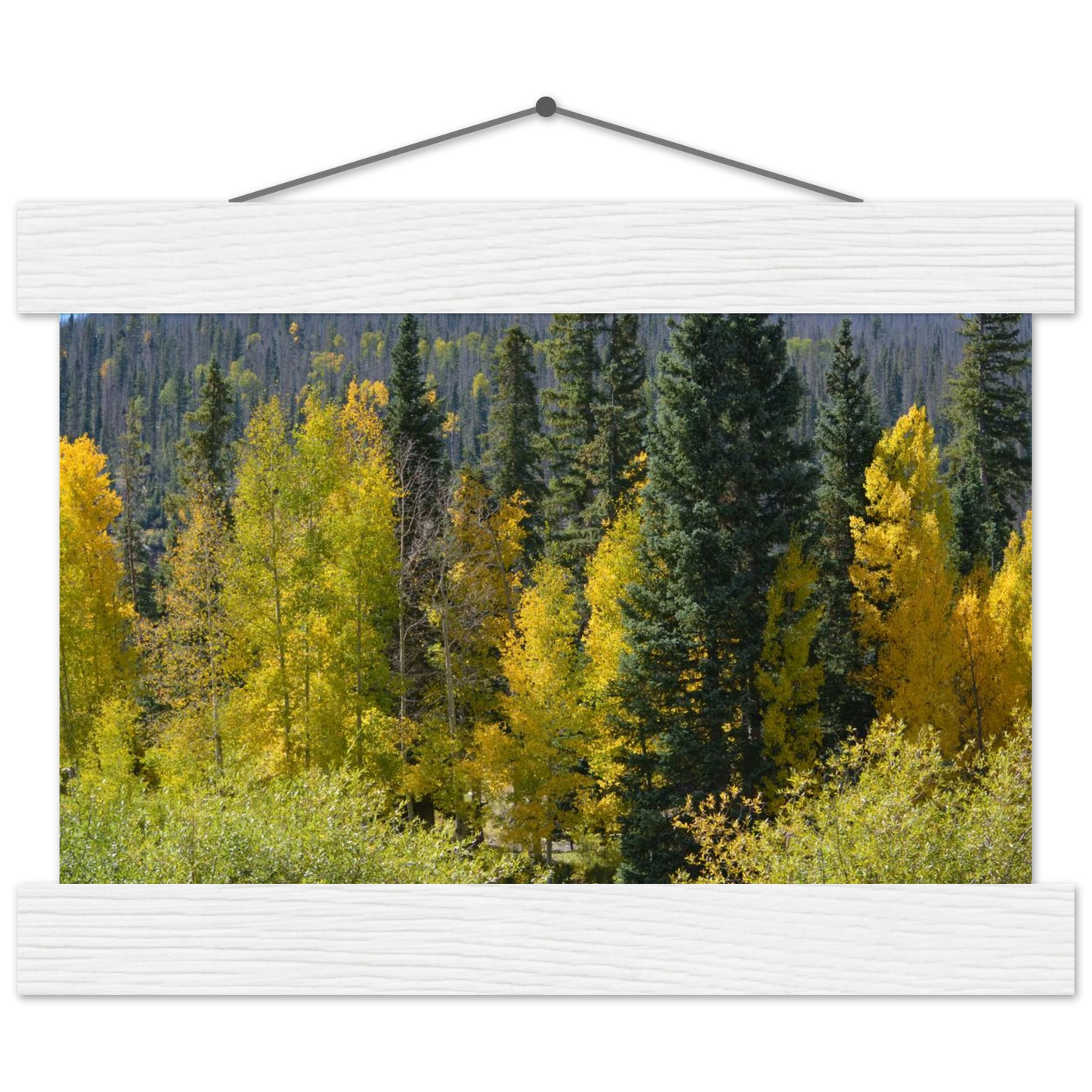 5cd0d8e1-63de-4edb-9c20-f78340ad4a00