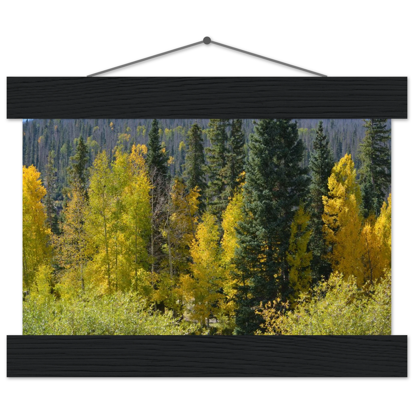 5ee95faf-4c99-4c0d-9773-4ea3f63da560