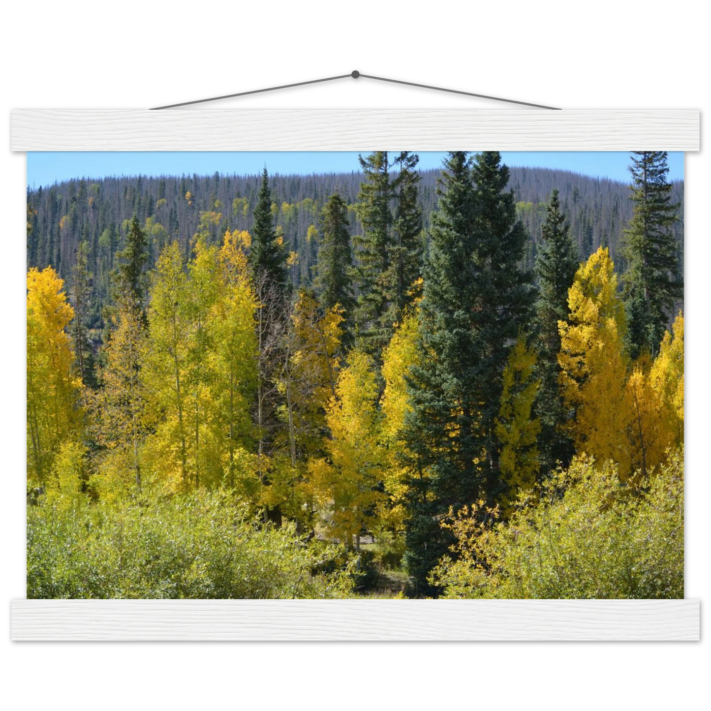 bc563871-8950-413c-a46c-faec98ecbea9