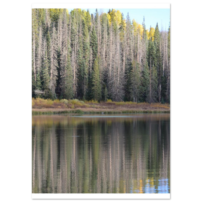 23538dbf-a053-4d70-b4ea-d8442fb2de99