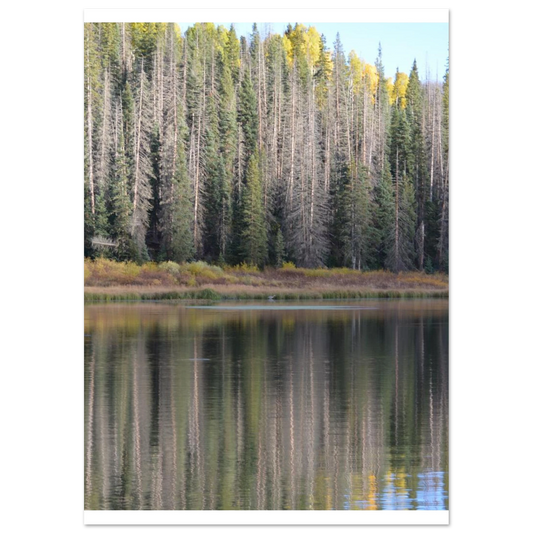 23538dbf-a053-4d70-b4ea-d8442fb2de99