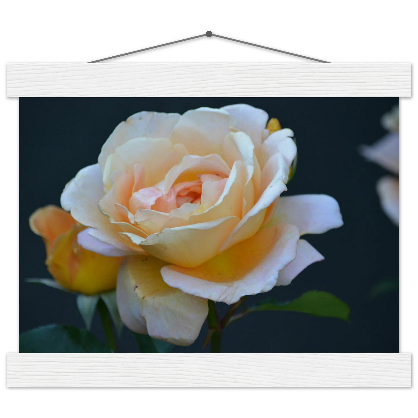 42e43768-6e42-47ef-8bf5-3c33f4c40de3