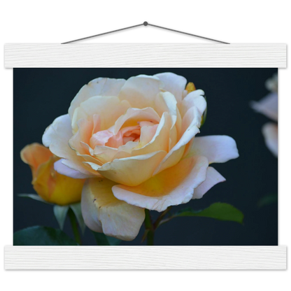 42e43768-6e42-47ef-8bf5-3c33f4c40de3