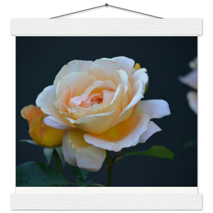 7953c888-4e76-4ac9-9cf5-02ccccd35cd0