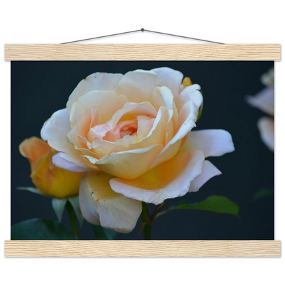 83cbae09-aecd-4174-b0aa-f60c1cadf9b6