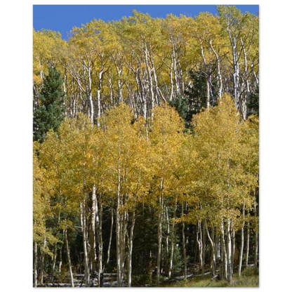 a69f4f20-3b7f-4445-ad09-859e5197a54c