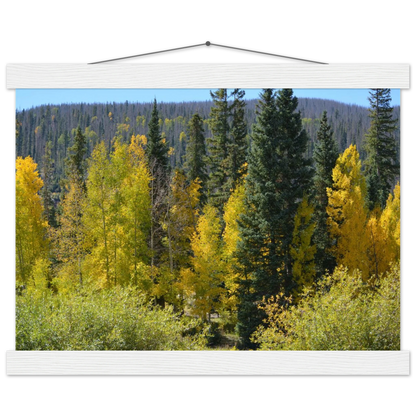 bc563871-8950-413c-a46c-faec98ecbea9
