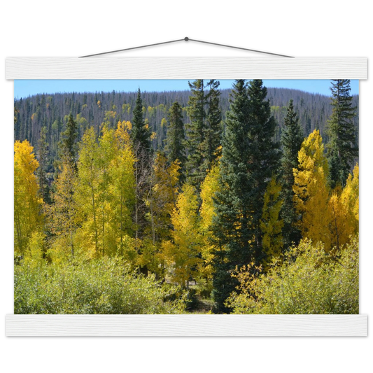 bc563871-8950-413c-a46c-faec98ecbea9