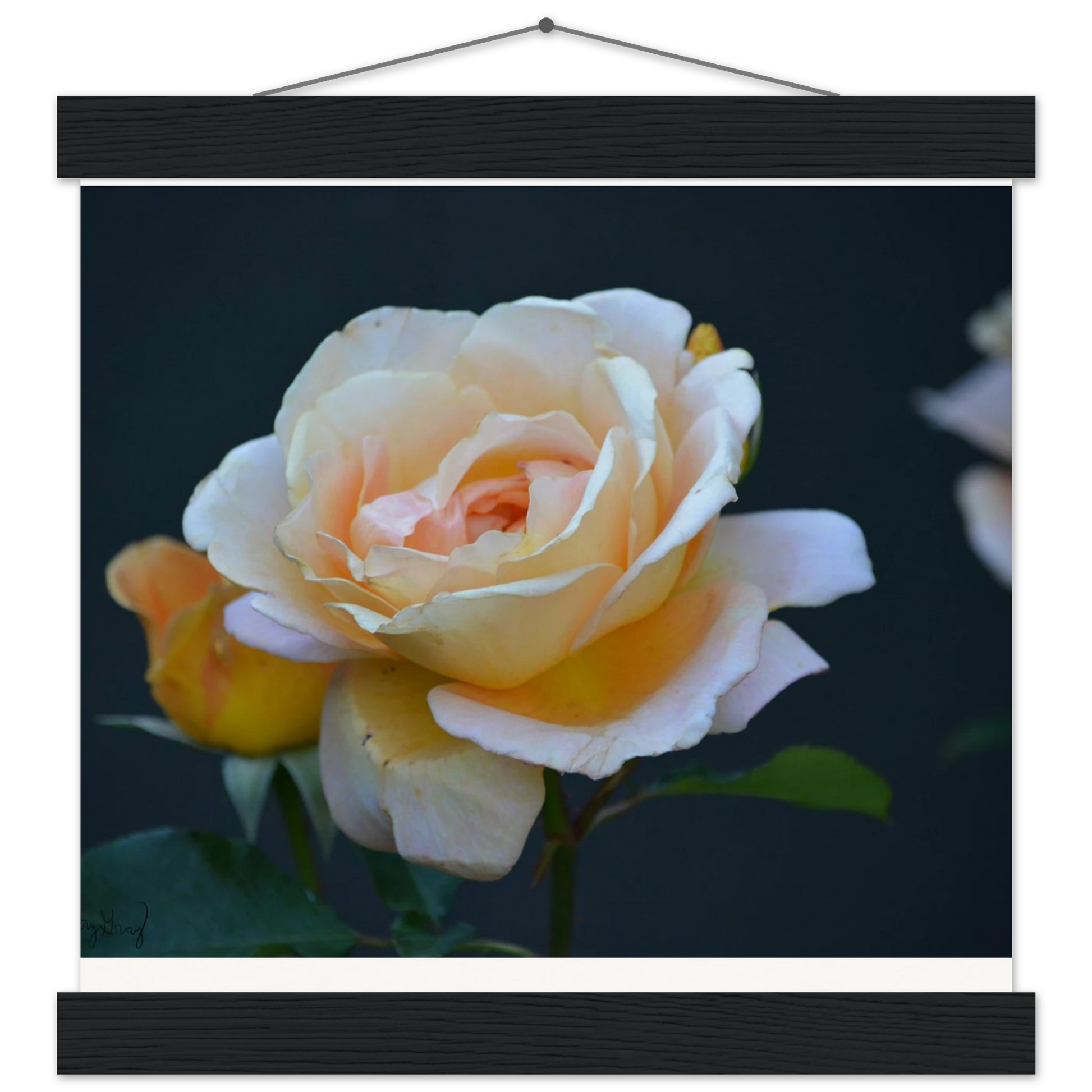 c4d10640-c0b3-47ff-b2c9-c52be36c1a11