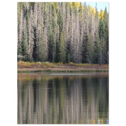 e710fe82-a785-4276-a421-5afc695ffc07