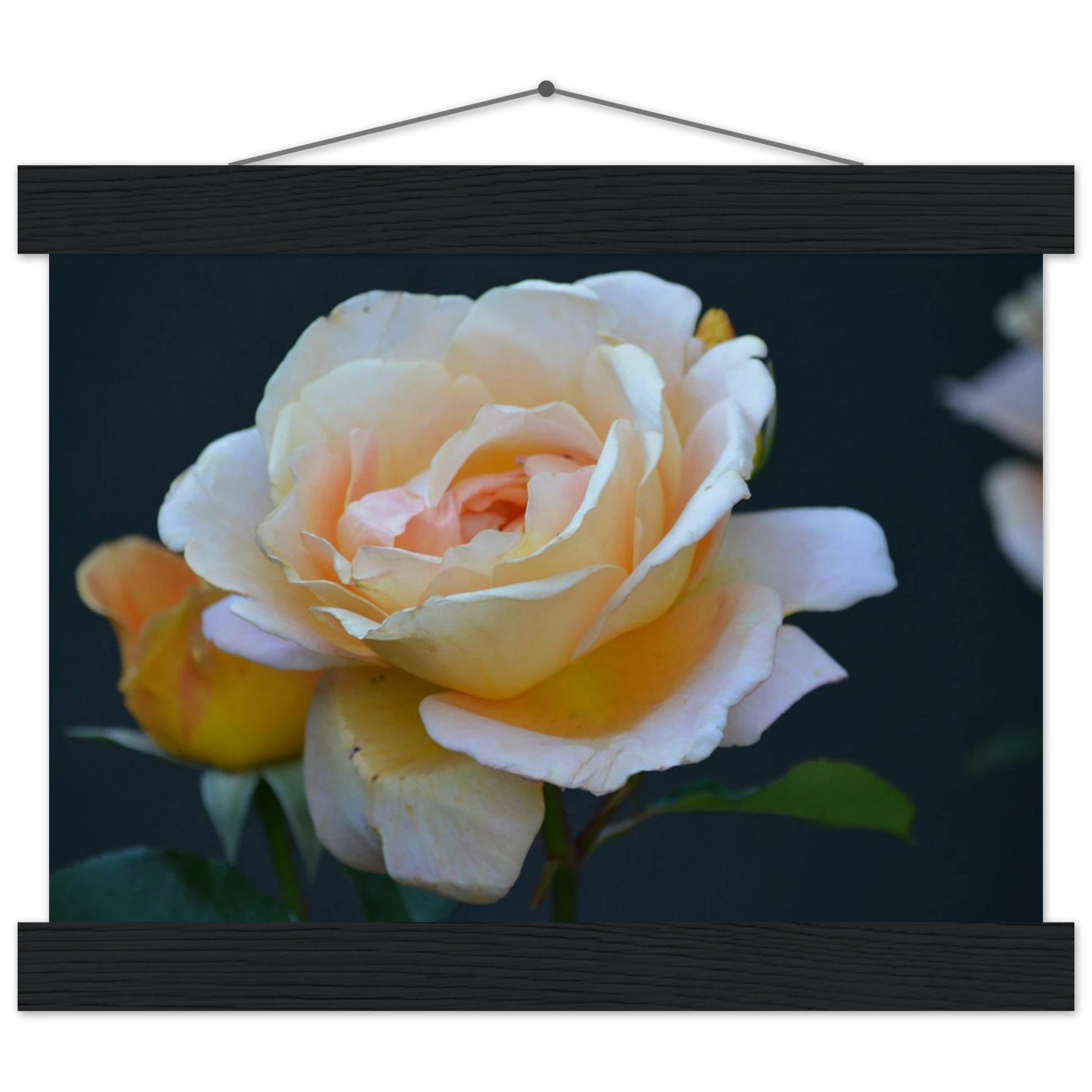 ed6b9cbb-1351-4609-a73f-cfcb8f9bb2db