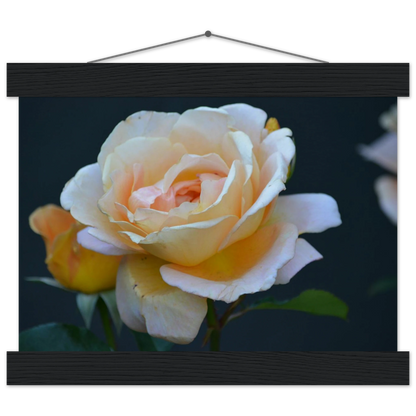 ed6b9cbb-1351-4609-a73f-cfcb8f9bb2db